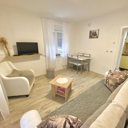 Apartman Bogdan Čačak エクステリア 写真