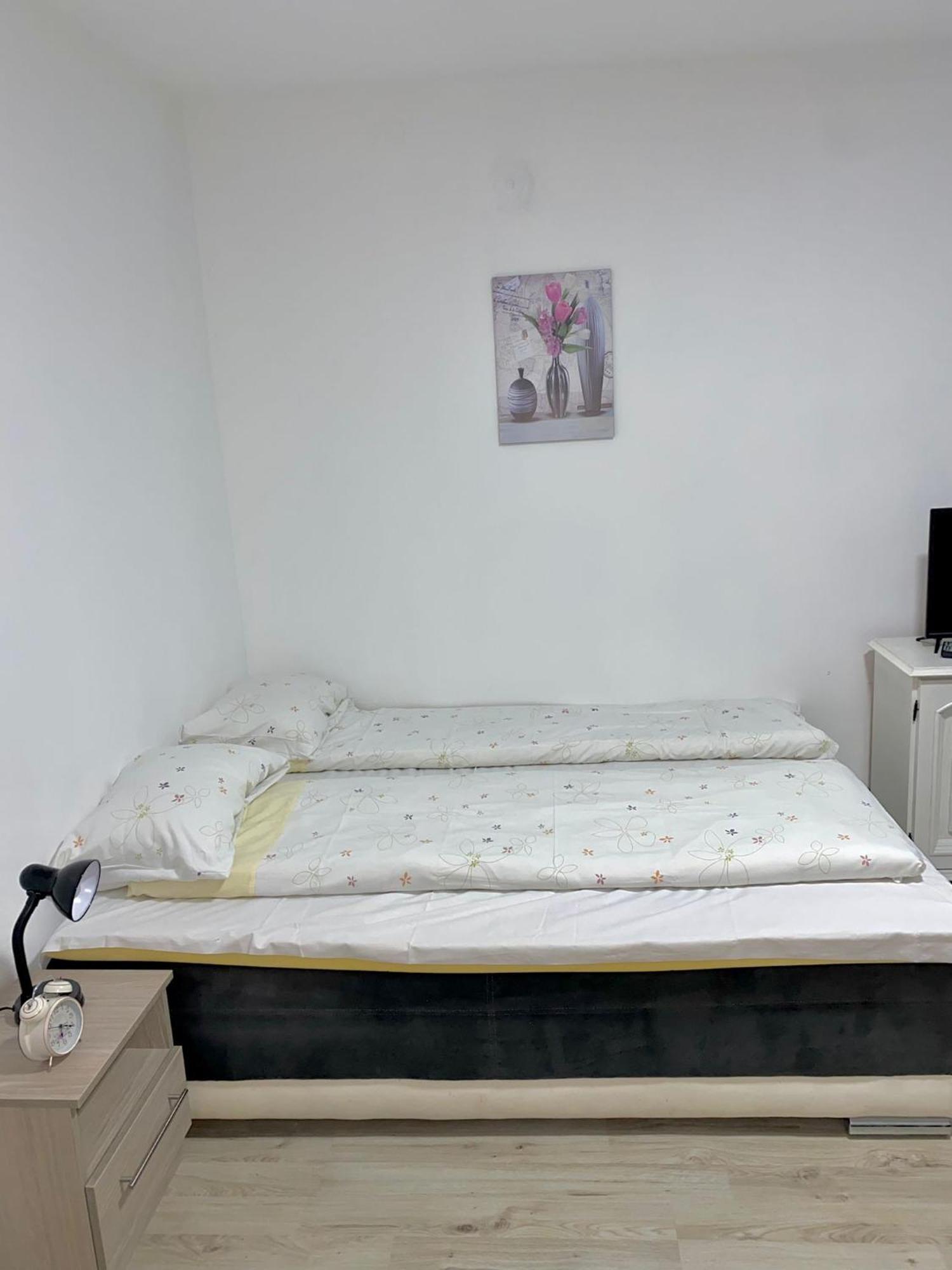 Apartman Bogdan Čačak エクステリア 写真